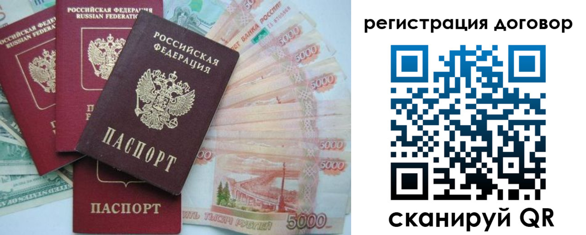 временная регистрация недорого в Ельне