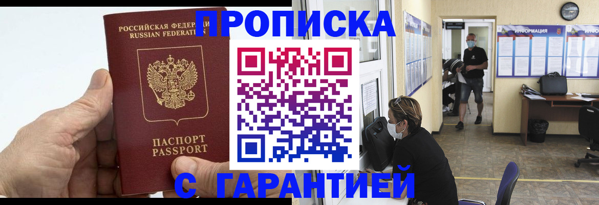 прописка поиск в Ельне
